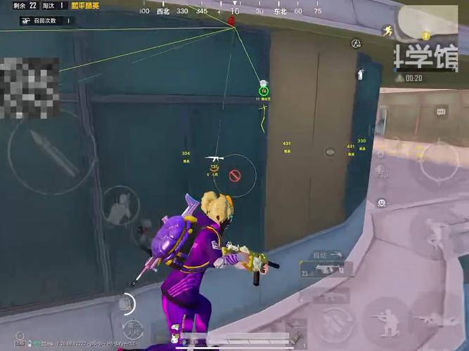 突破游戏界限：探索和平精英辅助工具的神秘世